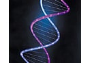 Telegraph publica pesquisa sobre genes bruxos